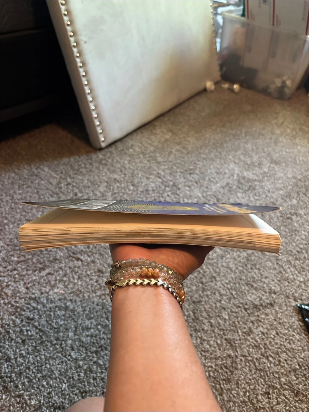 The Cop Cookbook used good shape